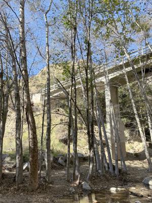Concrete bridge over the Eaton Canyon stream